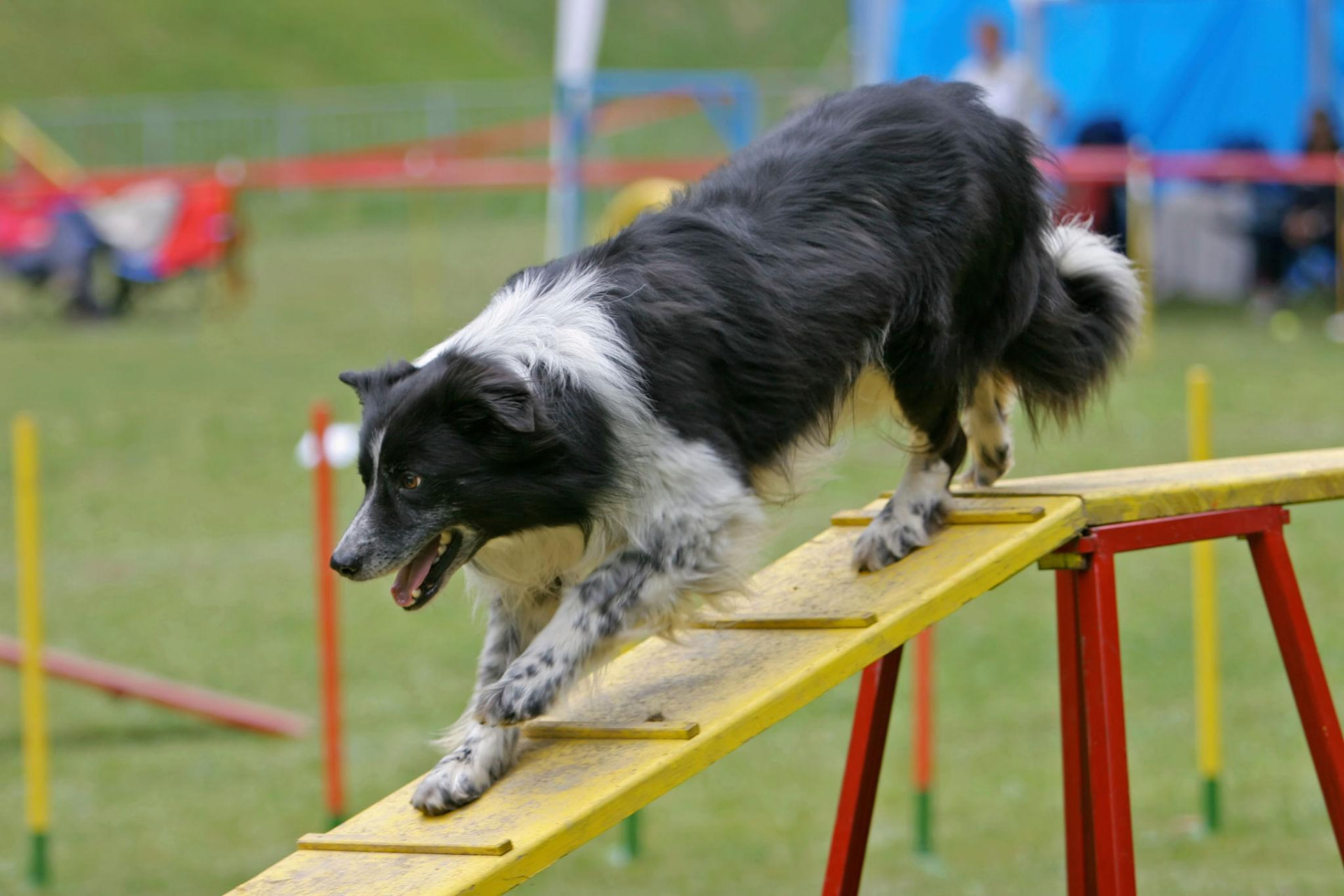 Agility