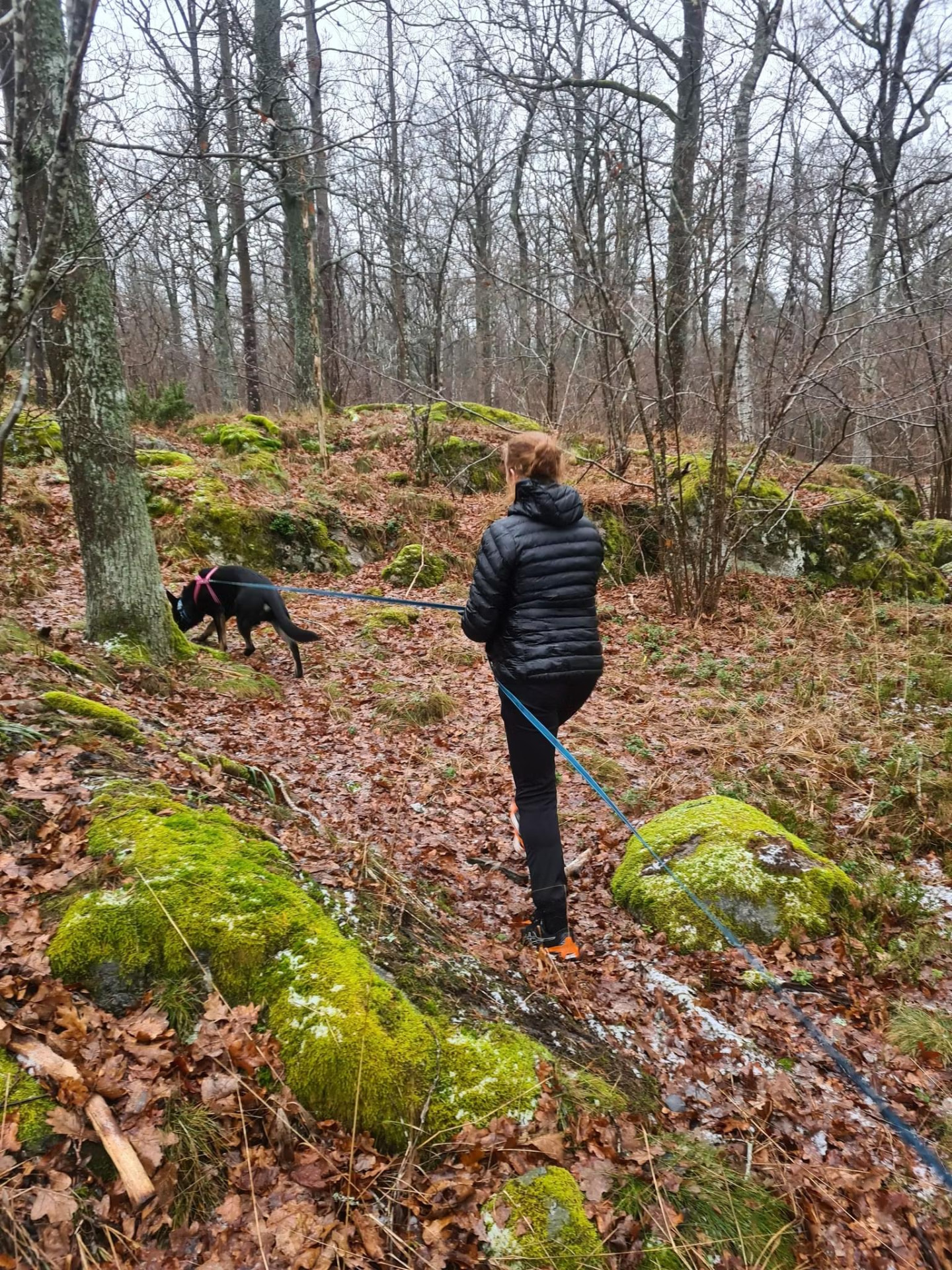 Mantrailing