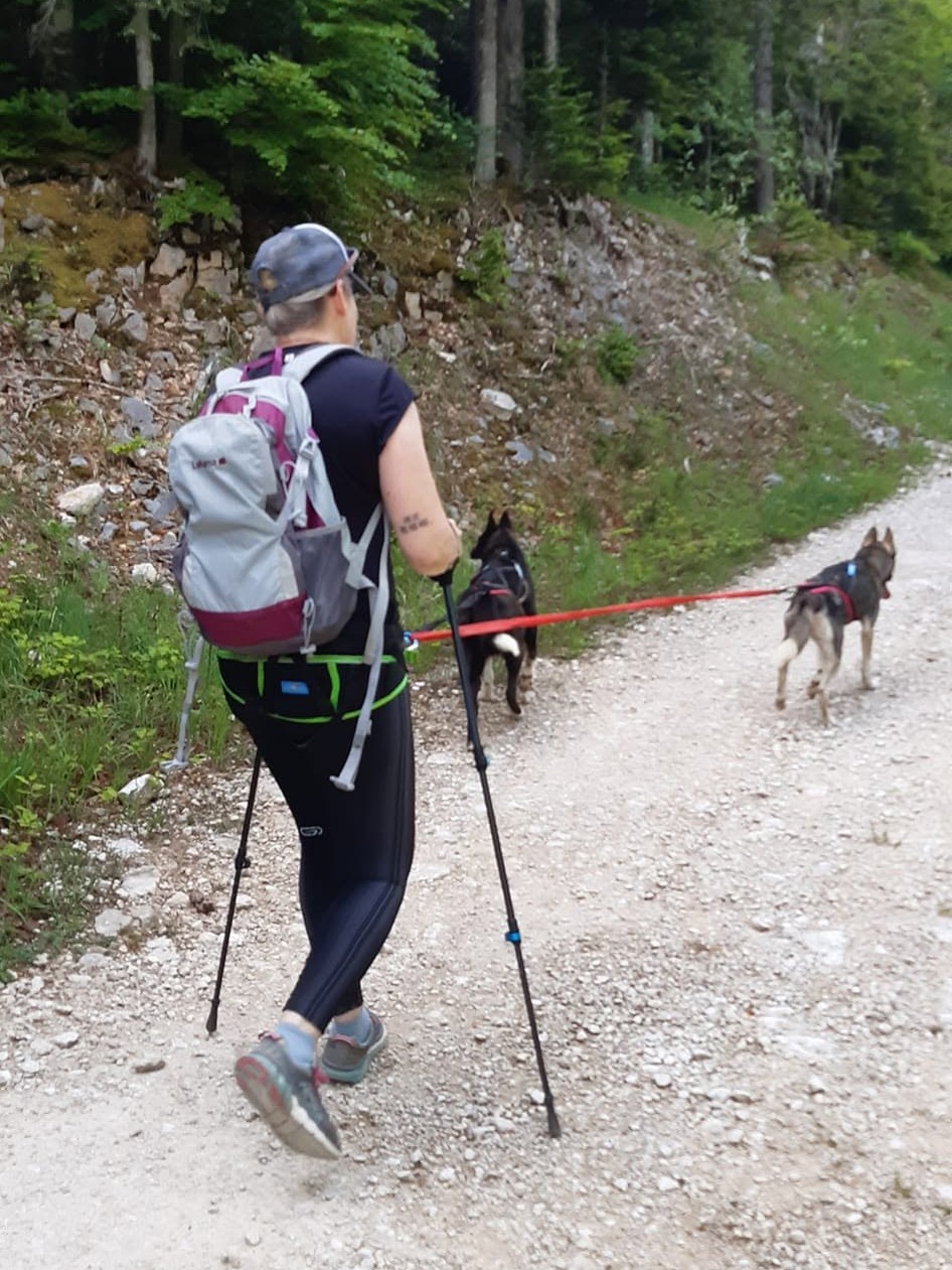 Cani-rando